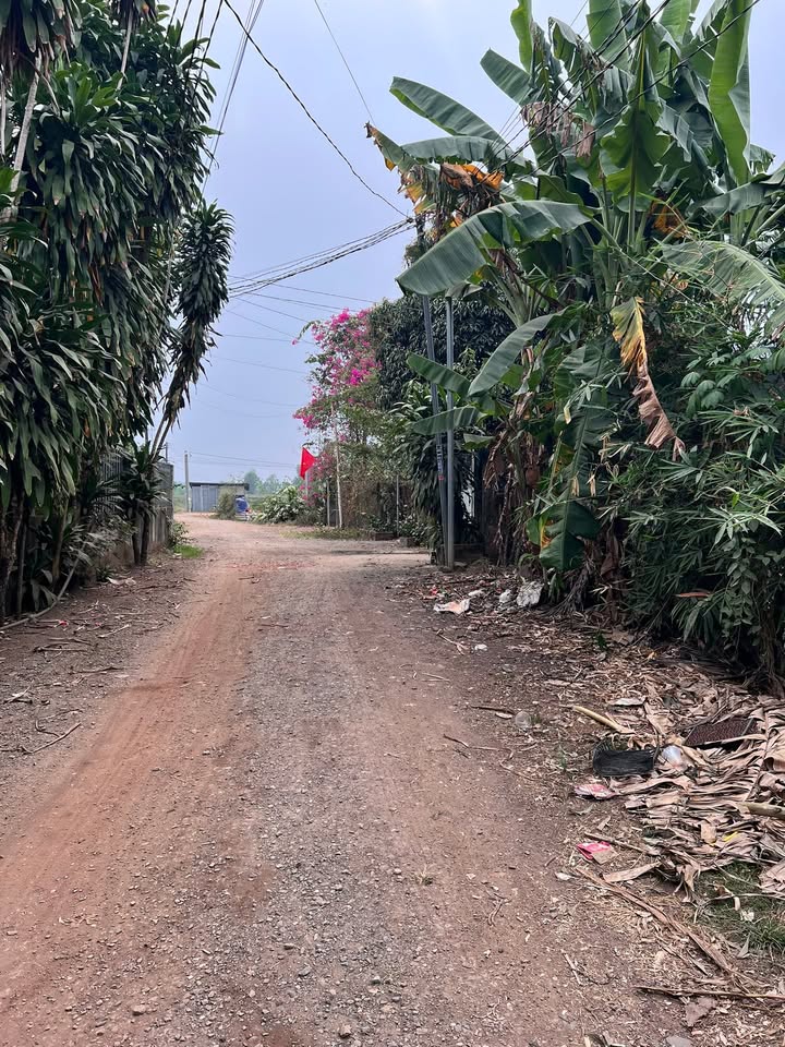 Đất nền An Viễn 200m² giá 1.05 tỷ - Sổ đỏ chính chủ, vị trí đẹp!