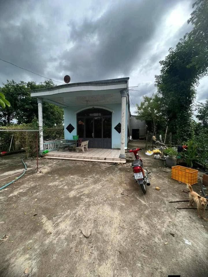 Đất thổ cư 300m² tại xã Phú Lập, Tân Phú chỉ 2.8 tỷ - Mặt tiền rộng ô tô vào tận nơi!