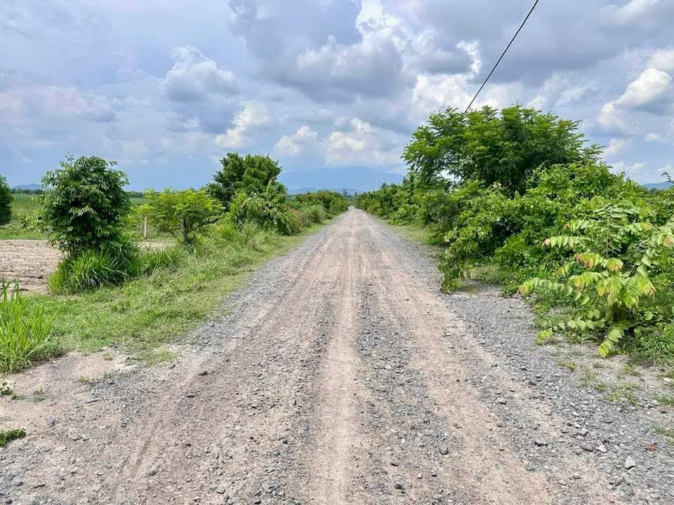 Đất Farm 2ha tại Ninh Tây, Ninh Hòa giá 2.04 tỷ - Thích hợp làm trang trại!