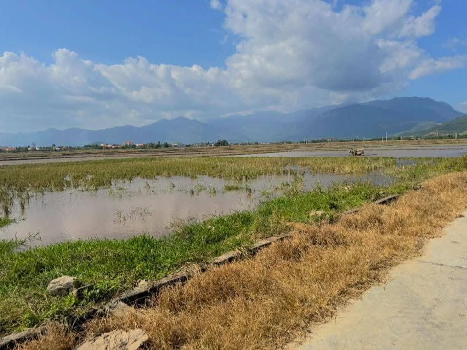 Đất thổ cư mặt tiền đường bê tông tại Thôn Đồng Xuân, Ninh Hoà 2937m² giá 3.987 tỷ - Cơ hội đầu tư tuyệt vời!