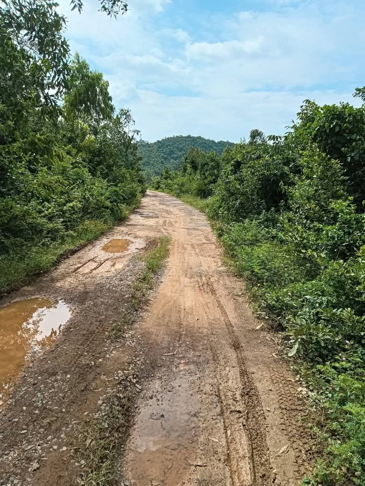 Đất nền Ninh Hòa 9000m² giá 3.06 tỷ - Đầu tư sinh lời ngay!