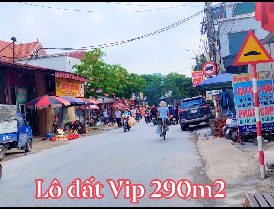 Đất nền Tứ Kỳ 290m² mặt tiền 15m - Vị trí kinh doanh đắc địa!