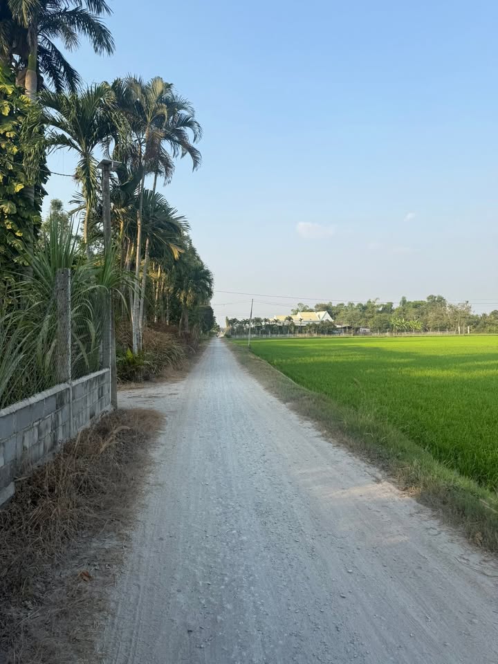Đất mặt tiền đường Đá Xanh, Huyện Đức Hòa 1050m² giá chỉ 90 triệu/m