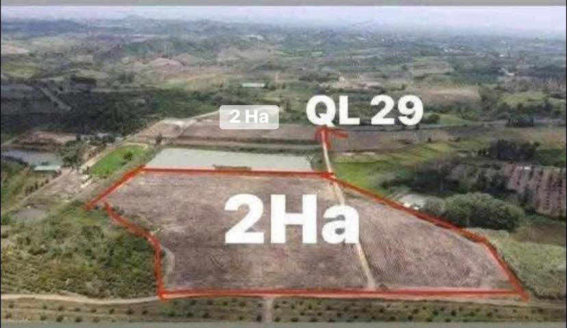 Đất nền Quốc lộ 29, Xã Hòa An, 4ha giá 15 tỷ - Pháp lý rõ ràng!