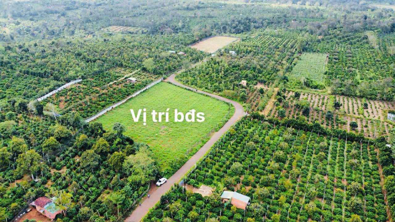 Đất farm 5409m² tại phường Cư Bao, Đắk Lắk - Giá chỉ 3.5 tỷ, đầu tư sinh lời!