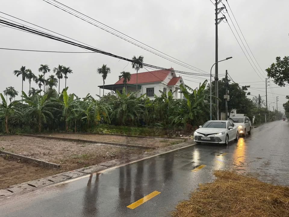 Đất nền Tiên Cường, Tiên Lãng 118m² chỉ 1 tỷ - Tiềm năng tăng giá vượt trội!