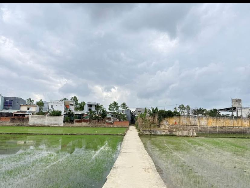 Lô đất vườn Nhơn Phú, Quy Nhơn 250m² giá chỉ 300 triệu - Tiềm năng phát triển lớn!