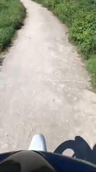 Đất vườn Cát Hanh, Phù Cát 504m² giá 3xx triệu - Đầu tư sinh lời ngay!