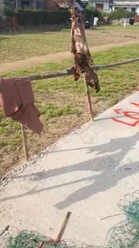 Đất thổ cư Tân Mỹ - Phước Hòa 70m² giá chỉ 2xx triệu - Sổ hồng chính chủ!