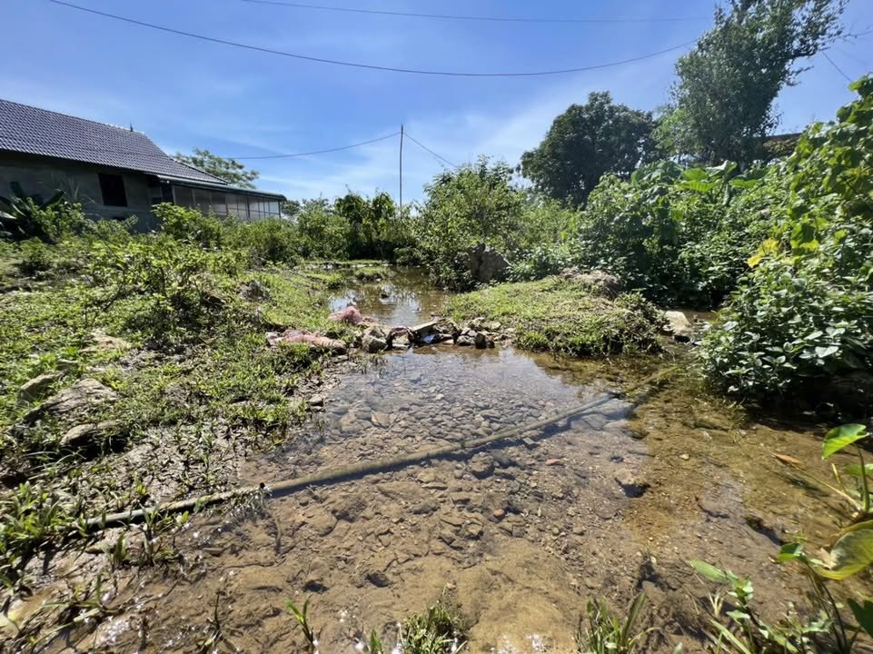 Đất nghỉ dưỡng tại Mường Hoa, Hòa Bình 1000m² giá 699 triệu - Vị trí đẹp gần khu du lịch