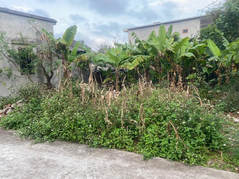 Đất nền chính chủ Phường Trần Lãm 67.6m² giá chỉ 7xx triệu - Cơ hội đầu tư hấp dẫn!