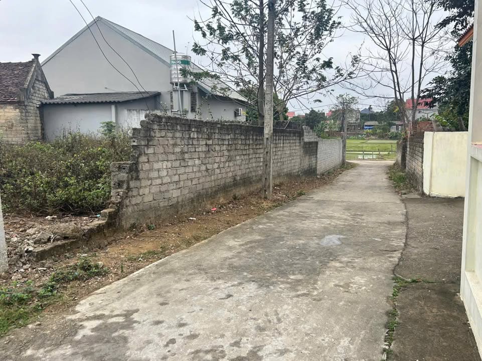 Đất nền Xã Đoan Bái, Huyện Hiệp Hòa, 100m² giá 800 triệu - Đầu tư sinh lời ngay!