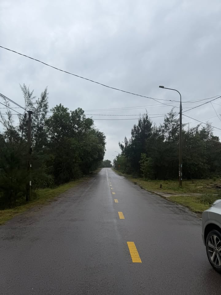 Đất CLN xã Bình Minh 550m² giá 1 tỷ - Khu vực phát triển sôi động!