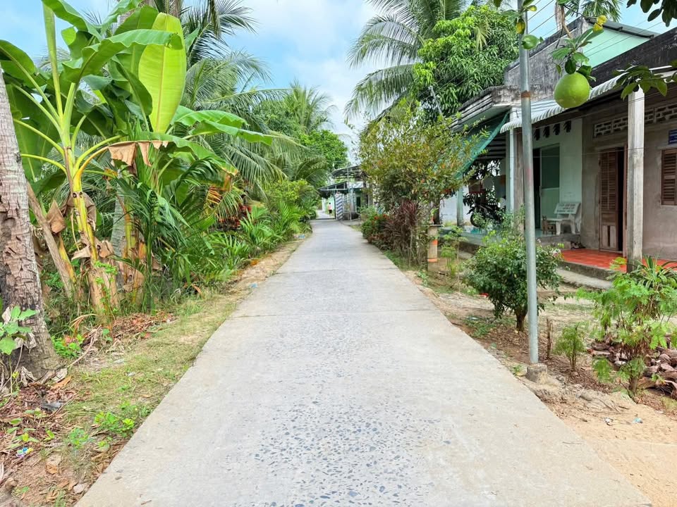 Nhà riêng Phường Đông Thành, Vĩnh Long 173m² giá 590 triệu - Sẵn sàng ở ngay!