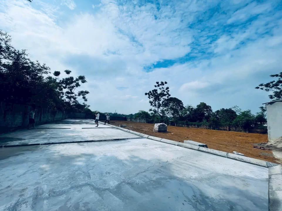 Đất thổ cư 100m² tại Phú Cát, Quốc Oai chỉ 2.3 tỷ - Đường rộng ô tô tránh nhau!