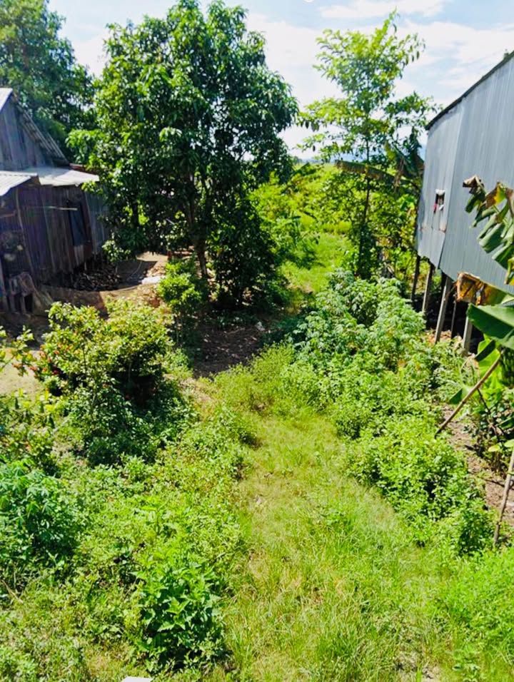 Đất nền Vĩnh An 177m² giá 420 triệu - Cơ hội đầu tư tuyệt vời!