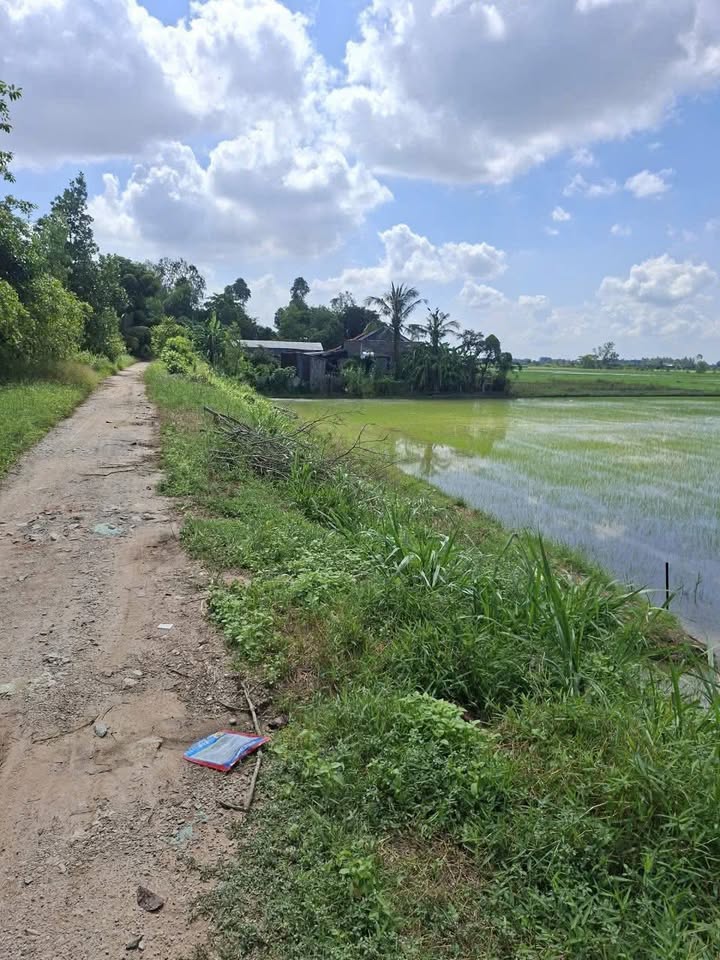 Đất ruộng mặt tiền Kinh Chưng Đùng 20000m² giá 5.6 tỷ - Cơ hội đầu tư tốt!