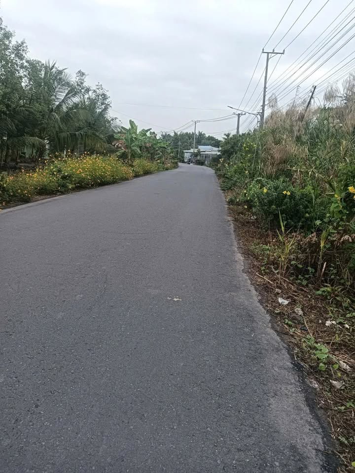 Đất nền khu hành 9, huyện Bình Tân, 476m² - Giá chỉ 950 triệu!