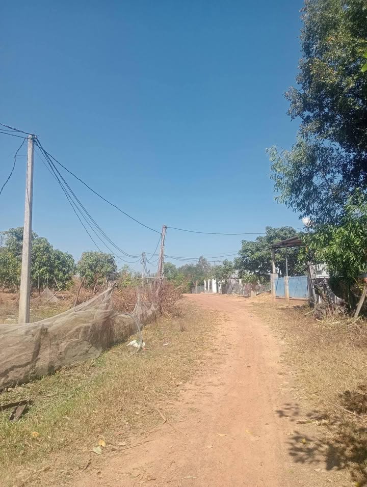 Đất và nhà chính chủ tại xã Ea Lê, Ea Súp, Đắk Lắk - 450m² chỉ 399 triệu!