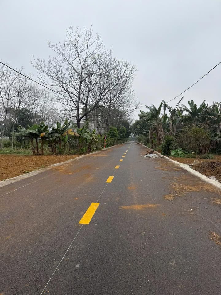 Nhà bán tại Phường Nam Sơn, Thành phố Tam Điệp, 90m² chỉ 1 tỷ - Sẵn sàng ở ngay!