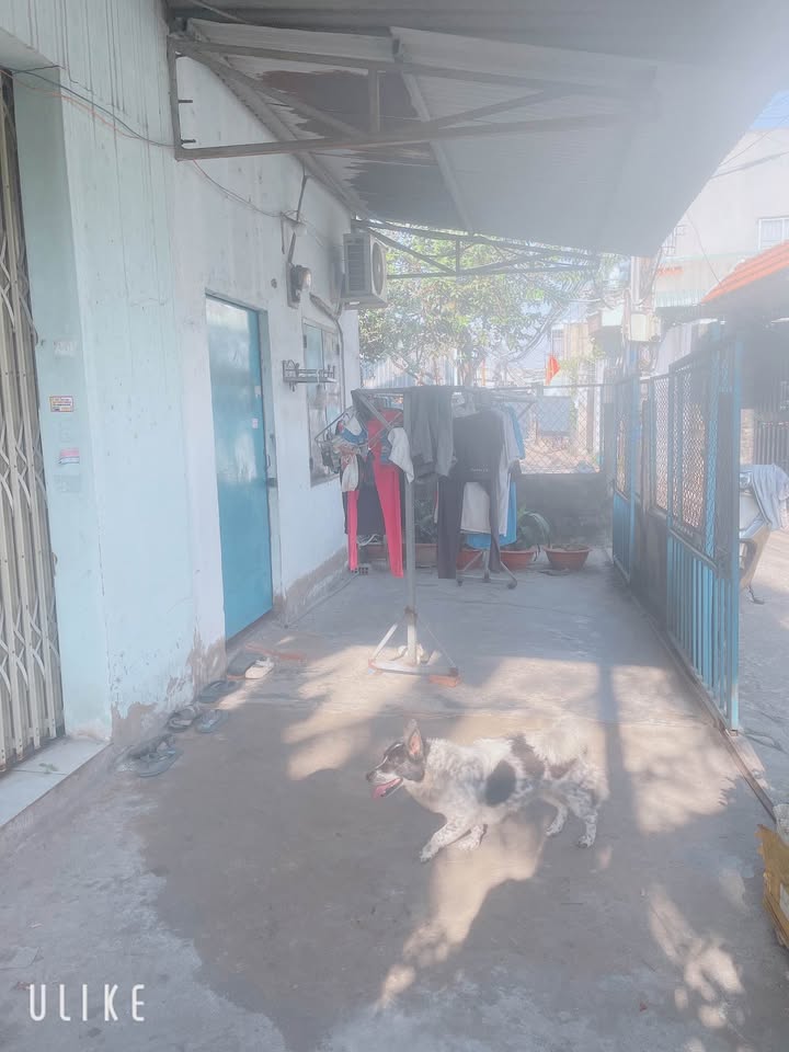 Nhà cho thuê tại An Bình, Trảng Bom 2PN giá 3.5 triệu - Sân trước sân sau rộng rãi!