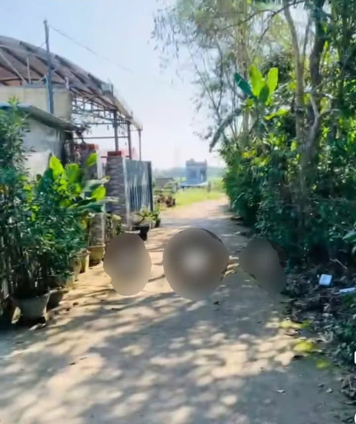 Đất nền Gò Hà, Nam Kỳ Khởi Nghĩa 100m² giá chỉ 8xx triệu - Đầu tư sinh lời!