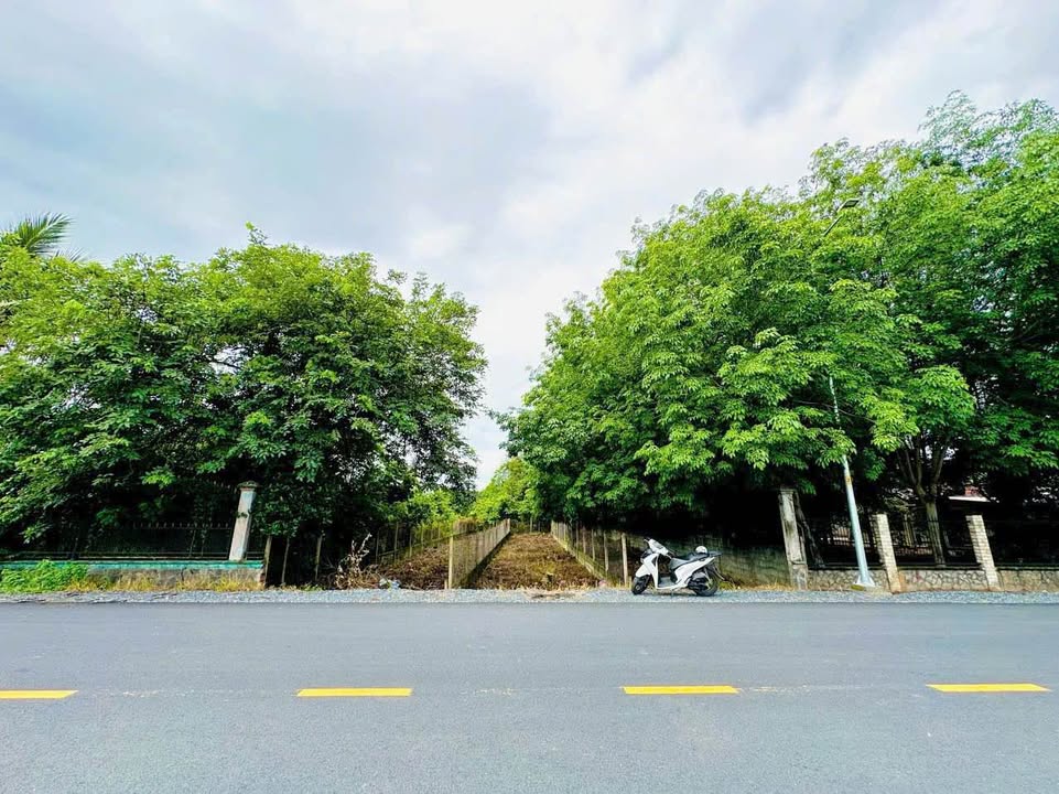 Đất thổ cư Xã Phú Hòa Đông Củ Chi 615m² giá 5.5 tỷ - Đầu tư sinh lời ngay!