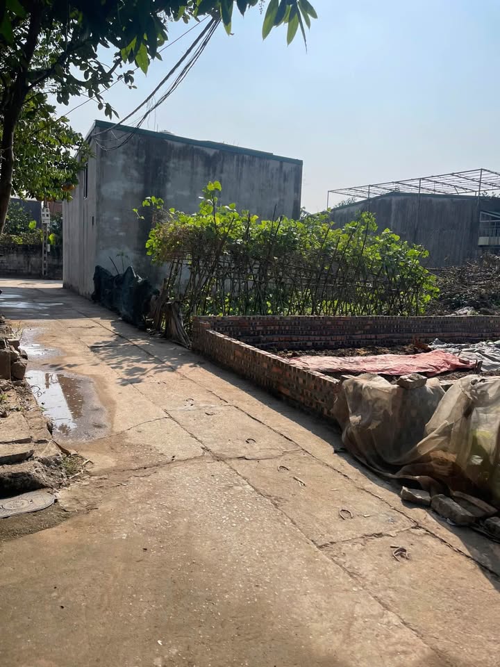 Đất đấu giá Thanh Trì 58.9m² giá 4.7 tỷ - Cơ hội đầu tư hấp dẫn!