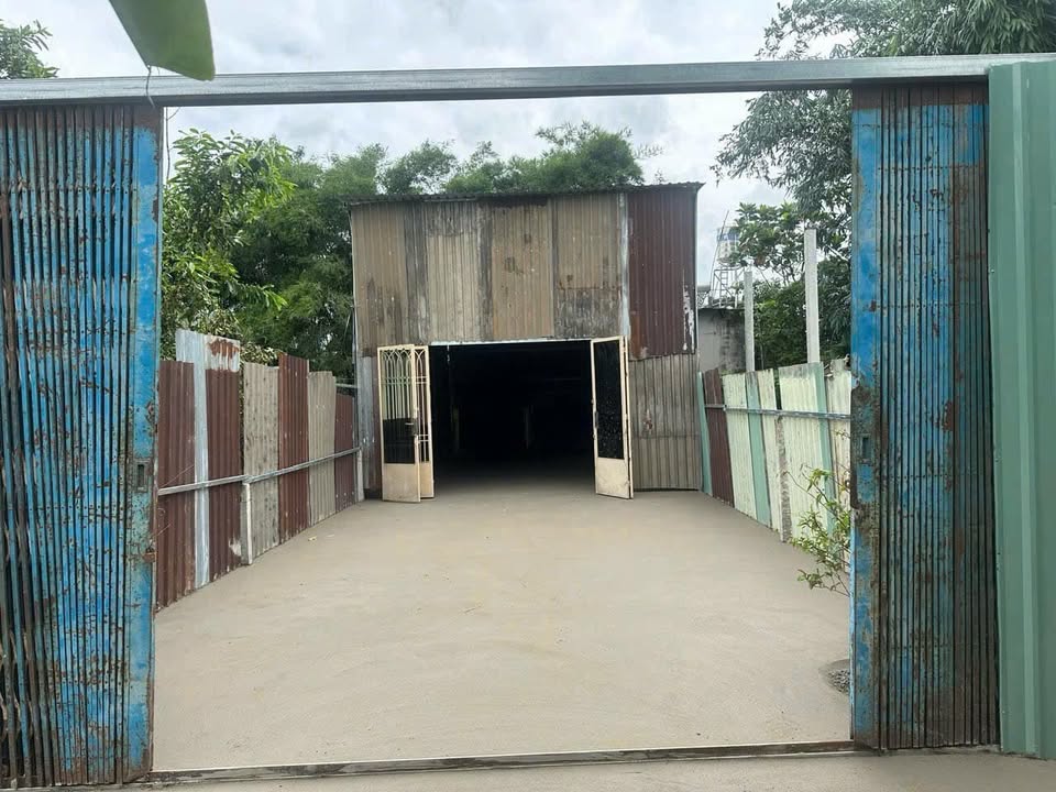 Nhà bán tại Tân Thạnh Đông, Củ Chi 100m² giá 700 triệu - Vị trí đẹp, thương lượng nhẹ!