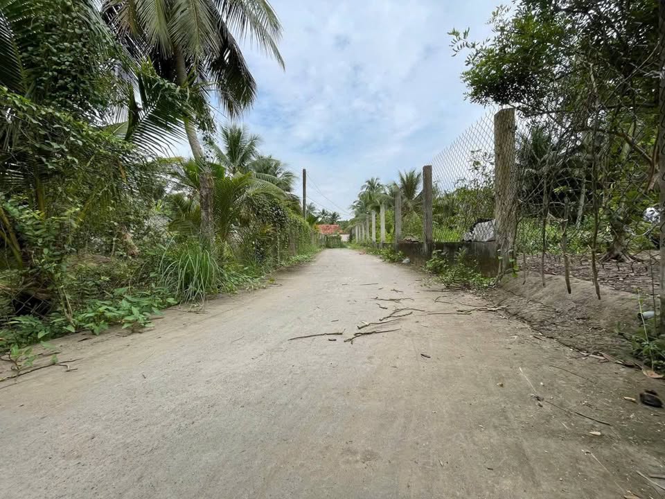 Đất thổ cư 294m² tại Phường Nhị Quý, giá chỉ 750 triệu - Cơ hội đầu tư hấp dẫn!