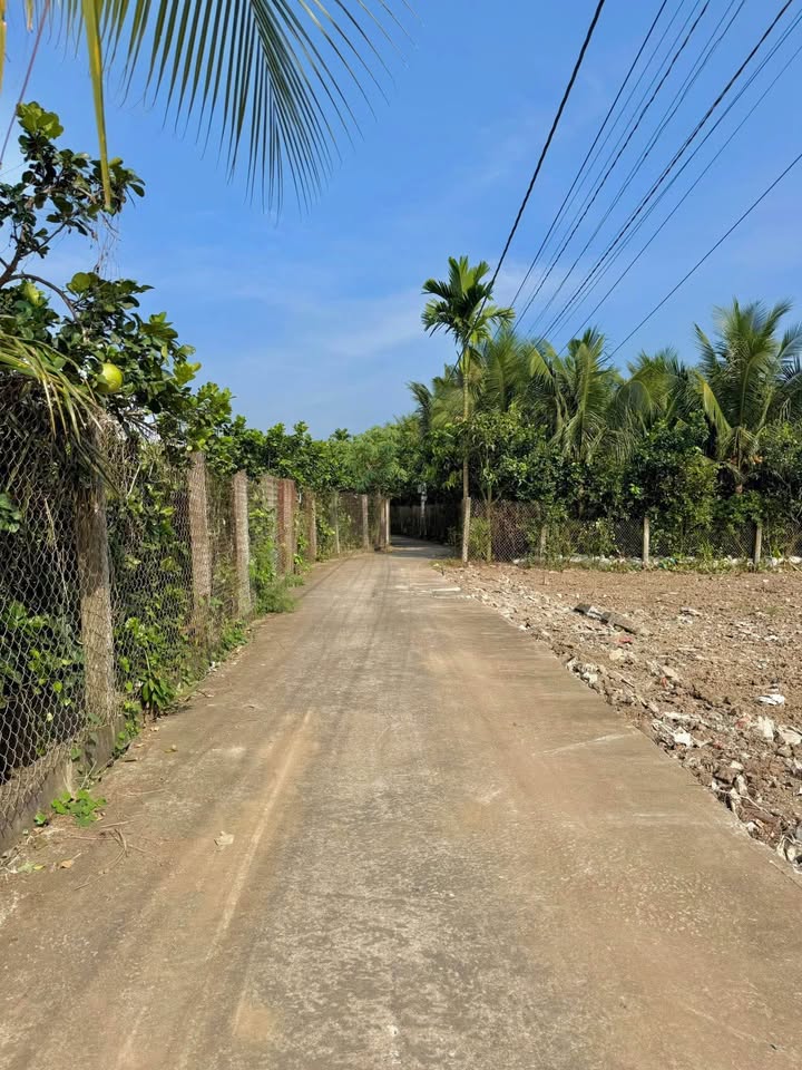 Đất nền Cái Bè 168m² giá dưới 500 triệu - Sẵn sàng đầu tư ngay!