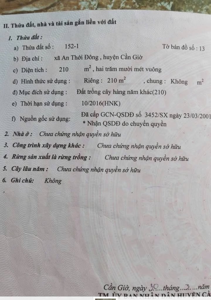 Đất lô góc 210m² An Thới Đông, Cần Giờ - Giá chỉ 4.62 tỷ VND!
