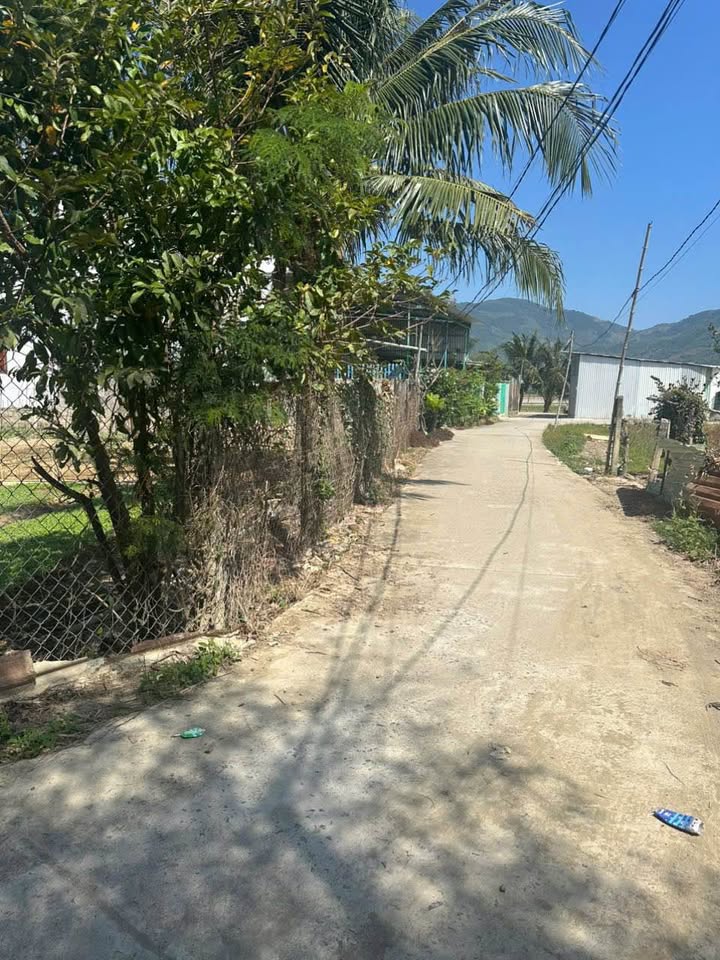 Đất nền Diên Điền 80m² giá chỉ 780 triệu - Cơ hội đầu tư hiếm có!