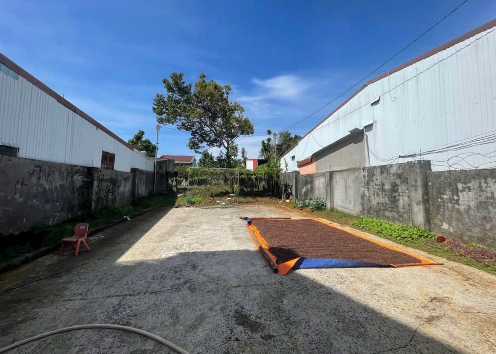 Đất hẻm đường Trần Nguyên Hãn, Bảo Lộc 514m² giá 4.6 tỷ - Đầu tư sinh lời hấp dẫn!