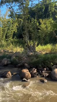 Đất nền View Triệu Mây Đà Lạt 500m² giá 1 tỷ - Cơ hội đầu tư hiếm có!