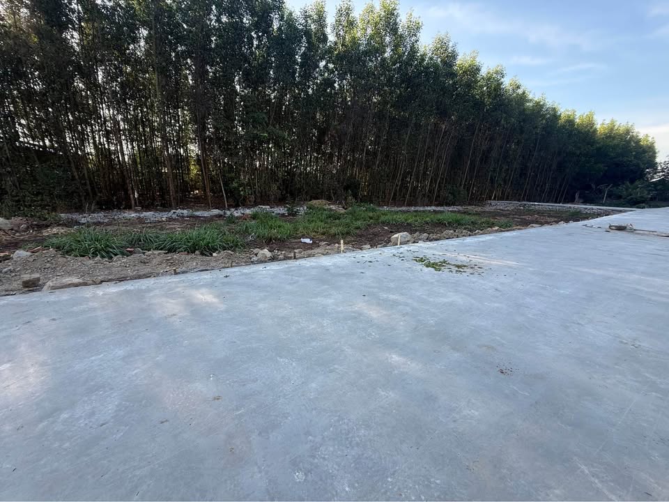 Đất nền Tân Triều, Đồng Nai 85m² giá 1.17 tỷ - Sổ riêng thổ cư, công chứng ngay!