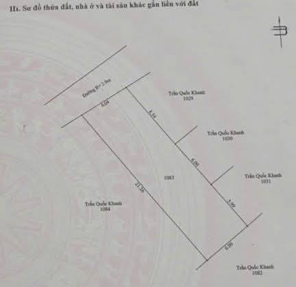 Lô đất 125m² Cây Thông Ngoài Phú Quốc giá chỉ 1 tỷ - Sổ hồng riêng, xây dựng tự do!
