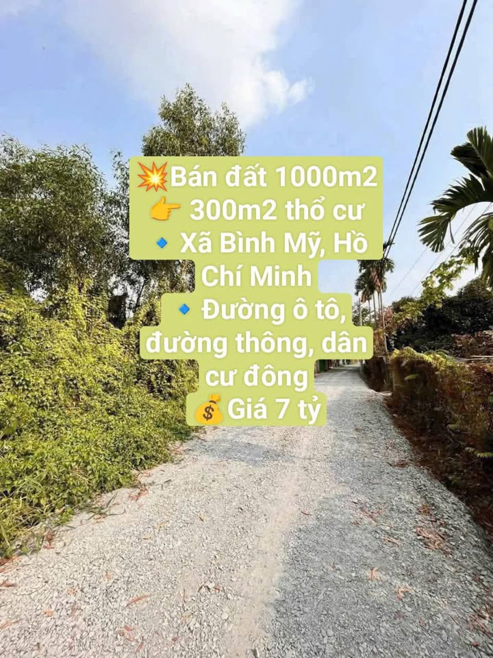 Đất thổ cư 300m² 1000m² tại xã Bình Mỹ, Củ Chi - Giá 7 tỷ, đường ô tô thông thoáng!
