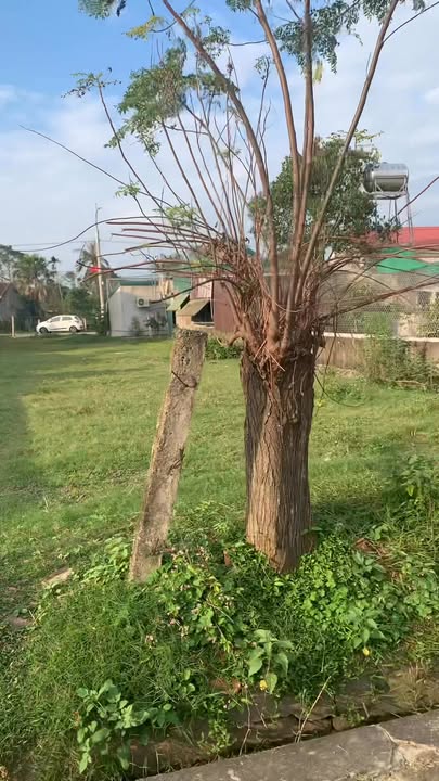 Đất thổ cư Kỳ Hoa, Kỳ Anh 175m² giá 1.1 tỷ - Đường rộng, khu dân cư sầm uất!