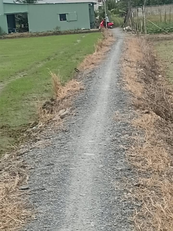 Nhà bán gấp tại Phước Lợi, Bến Lức 84m² giá chỉ 750 triệu - Sổ hồng riêng