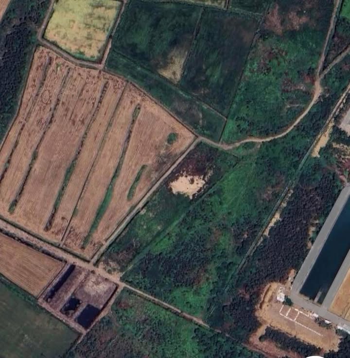 Bán đất lớn Tân Thông Hội, Củ Chi 20.133m² giá 30 tỷ - Cơ hội đầu tư dài hạn hiếm có!