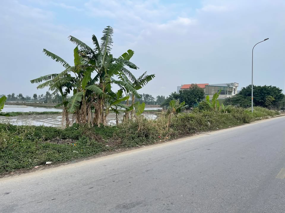 Đất nền 100m² đường Thanh Niên, xã Quảng Giao, giá 1 tỷ - Cơ hội đầu tư tuyệt vời!