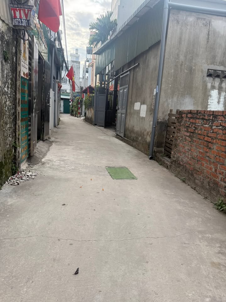 Đất nền Long Biên City 47m² giá 8 tỷ - Ô tô vào tận nhà!