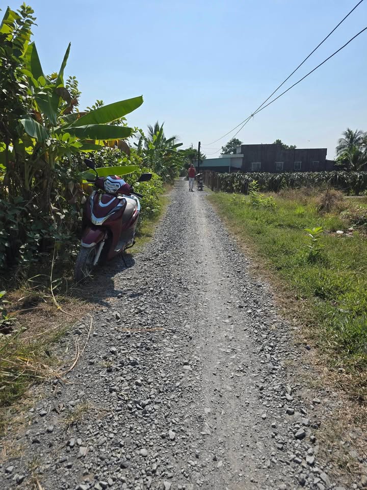 Đất nền Phú Ngãi Trị, Châu Thành, Long An 150m² giá 450 triệu - Sổ đỏ chính chủ!