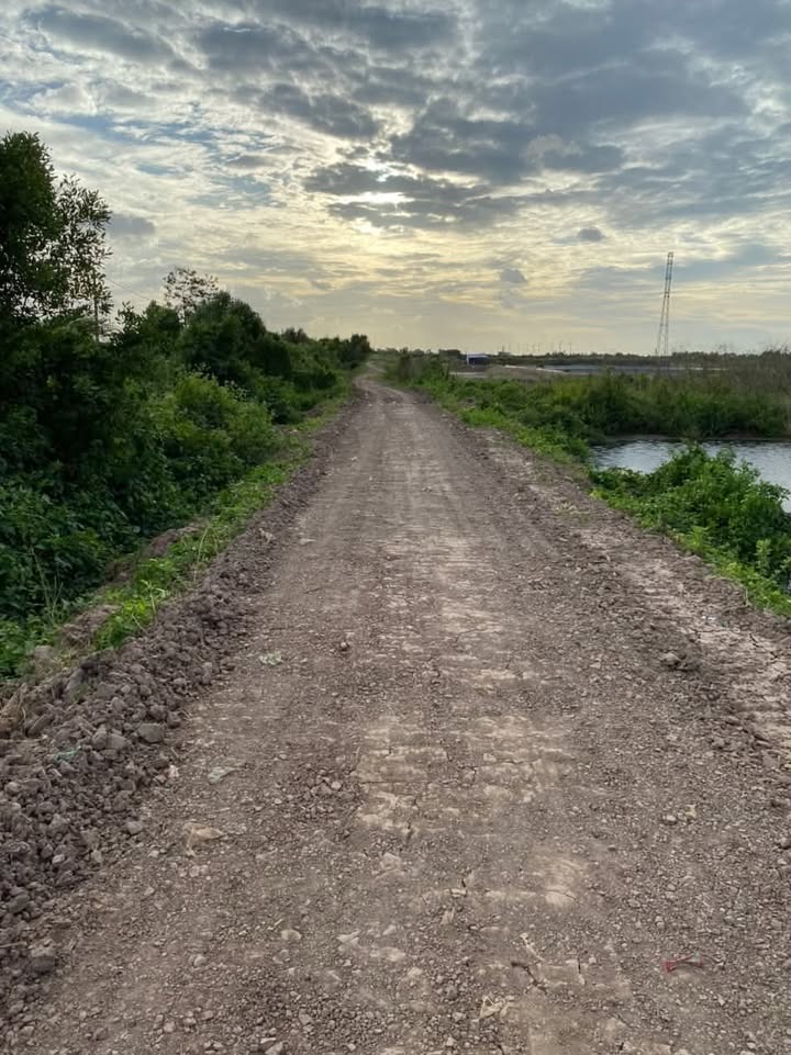 Đất nông nghiệp 10.014,7m² tại Bạc Liêu - Giá chỉ 1.502 tỷ, thương lượng chính chủ!