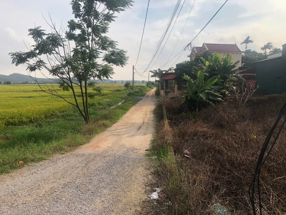 Đất nền Vĩnh Long - Văn Đức 362m² giá chỉ 3 tỷ - Cơ hội đầu tư tuyệt vời!