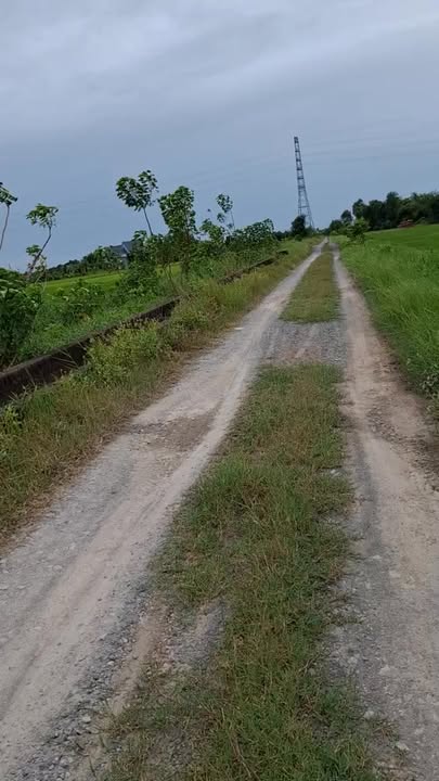 Đất nền 1423m² tại Ấp Chánh, Huyện Đức Hòa giá chỉ 950 triệu - Cơ hội đầu tư tuyệt vời!