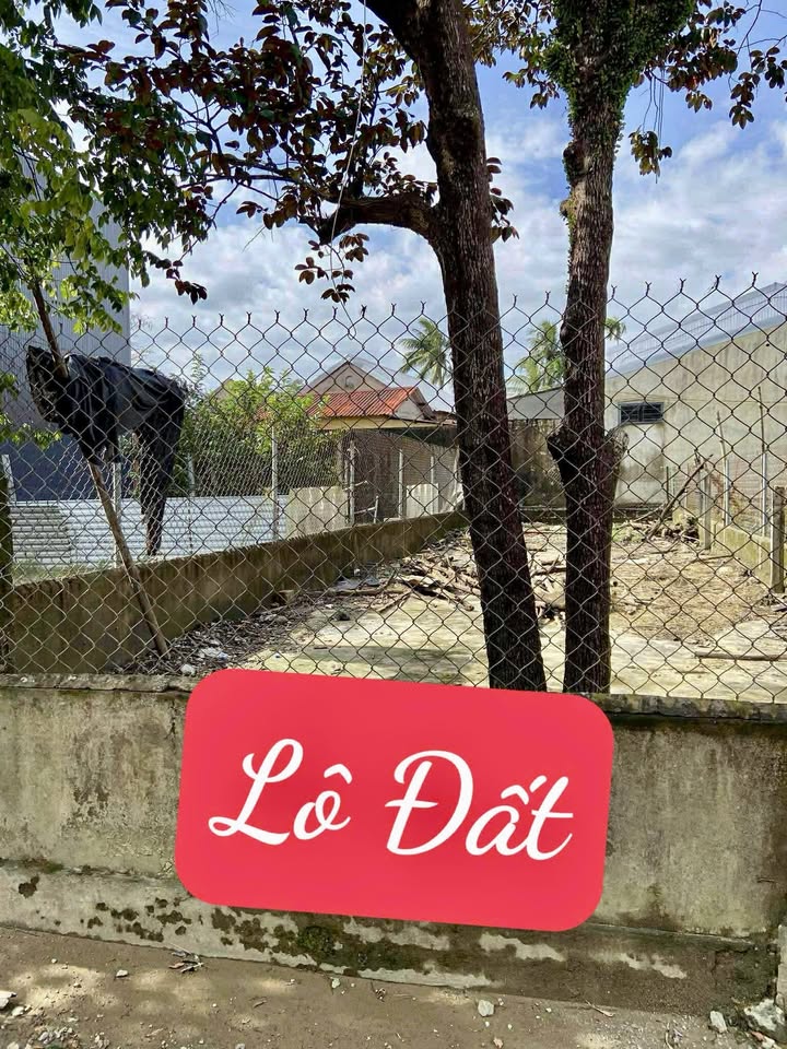 Đất kiệt ô tô Lý Nam Đế, 100m² giá 2 tỷ - Đầu tư tiềm năng!