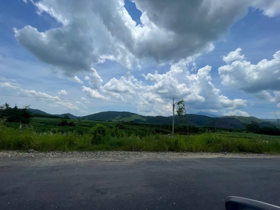 Đất nền góc 2 mặt tiền đường TL8 Ninh Xuân 1727m² giá 2.75 tỷ - Đầu tư tiềm năng!