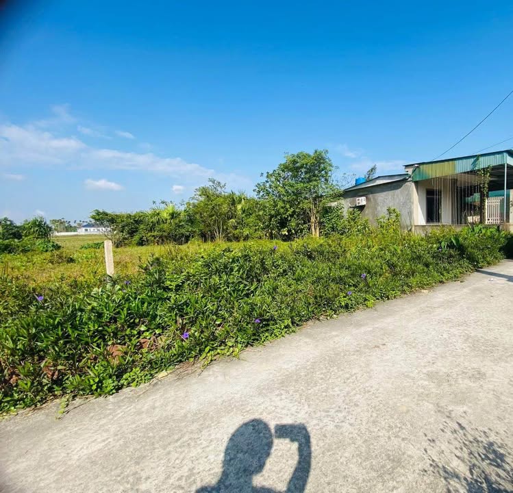 Đất nền Kỳ Phong, Thạch Đài 149.5m² giá 1.6 tỷ - Sát bên Trường Lê Quý Đôn!